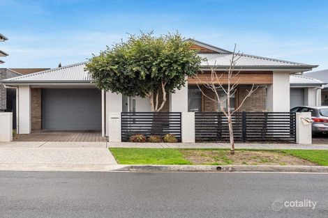Property photo of 13 Rozells Avenue Lightsview SA 5085