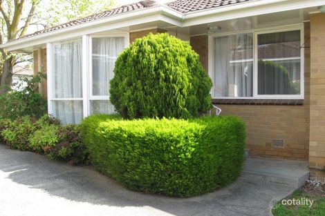 Property photo of 1/41-43 Peter Street Box Hill North VIC 3129