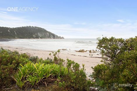 Property photo of 141 Irby Boulevard Sisters Beach TAS 7321