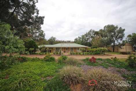 Property photo of 38 Davidson Street Oura NSW 2650
