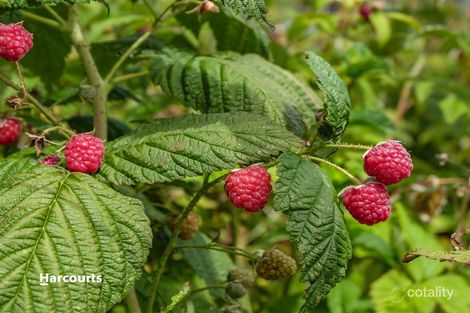 8872 Channel Hwy, Huonville, TAS 7109