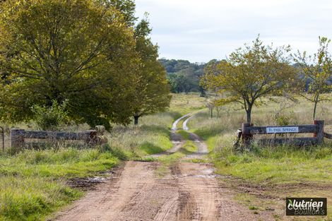 549 Chinnocks Rd, Walcha, NSW 2354