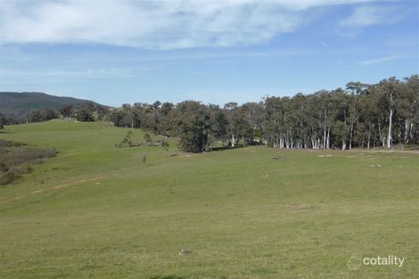 3012 Jingellic Rd, Lankeys Creek, NSW 2644