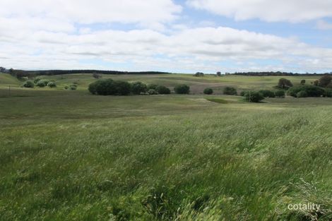 1081 Triangle Flat Rd, Triangle Flat, NSW 2795