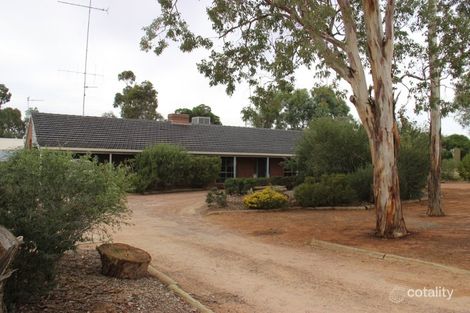 Property photo of 89 Farrell Street Ouyen VIC 3490