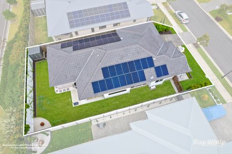 Property photo of 55 Teal Circuit Greenbank QLD 4124