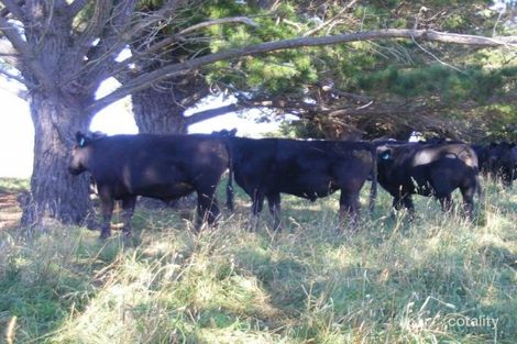 Property photo of 124 Deyrah Road Shannon Vale NSW 2370