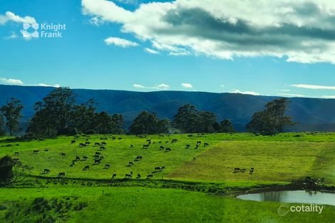 Property photo of 545 Mathinna Plains Road Ringarooma TAS 7263