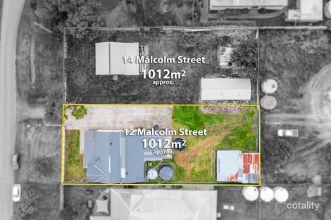 Property photo of 12 Malcolm Street Kalkallo VIC 3064