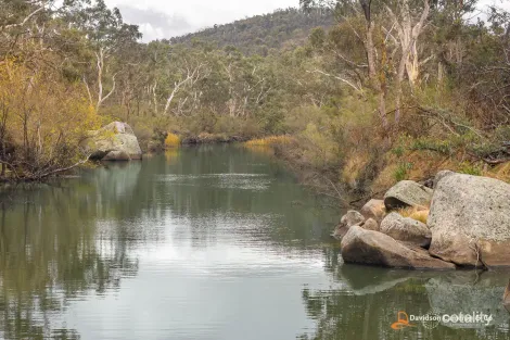 218 Rifle Range Rd, Rocky River, NSW 2358