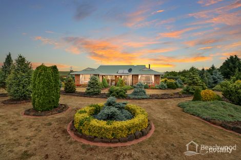 Property photo of 436 Braddons Lookout Road Forth TAS 7310