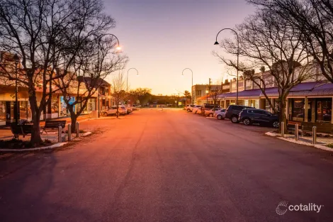 29 Sladen St, Henty, NSW 2658