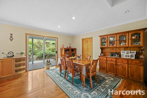 195 Beards Trk, Shady Creek, VIC 3821