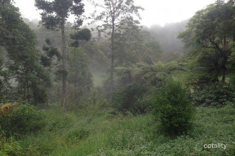 Property photo of 135 Newton Drive Nimbin NSW 2480
