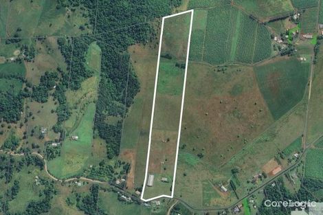 Property photo of 310 Donkin Road Utchee Creek QLD 4871