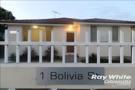 Property photo of 1 Bolivia Street Cabramatta NSW 2166