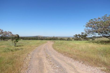 Property photo of 264 Heatherbrae Road Geurie NSW 2818