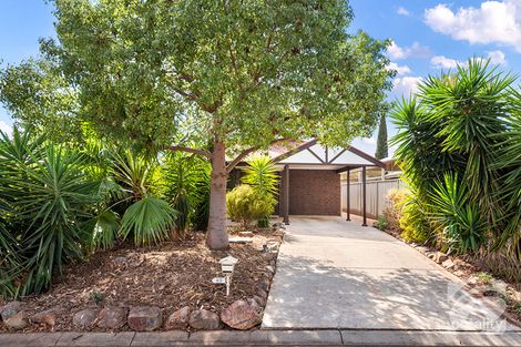 43 Magnolia Cres, Craigmore, SA 5114