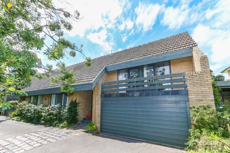 3/32 Walmer St, Kew, VIC 3101