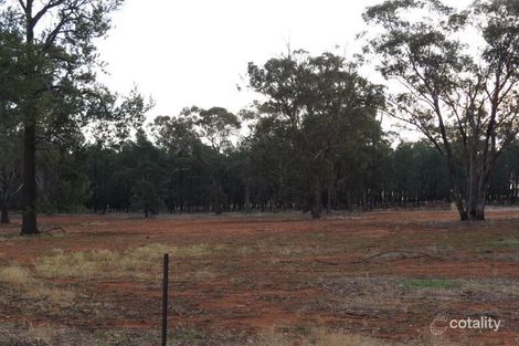 Property photo of 161 Ryans Road Tara NSW 2665