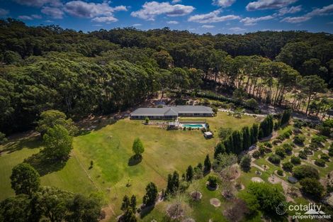 Property photo of 22 Beckingham Road Tumbi Umbi NSW 2261