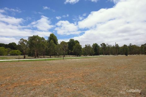 597 Tom Cat Hill Rd, Laura, SA 5480