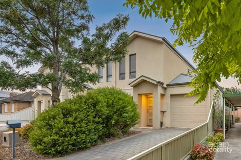 11 Raggatt Cres, Mitchell Park, SA 5043