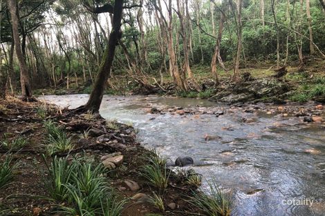 Property photo of 262 Mount Coxcomb Road Upper Lansdowne NSW 2430