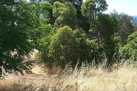 20 Rise Ct, Mount Richon, WA 6112