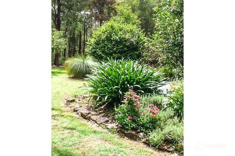 Property photo of 239 Crisp Drive Ashby Heights NSW 2463