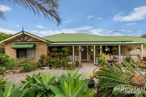 Property photo of 14 Kentia Street Carseldine QLD 4034