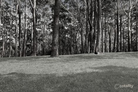 Property photo of 162 Matcham Road Matcham NSW 2250