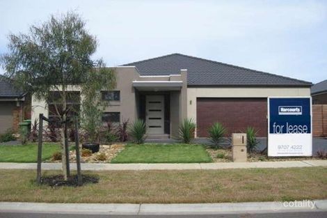 Property photo of 13 Dandelion Drive Berwick VIC 3806