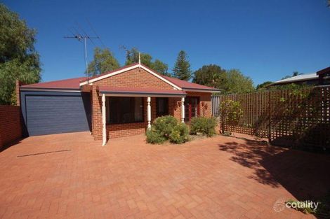 33a Venn St, North Perth, WA 6006