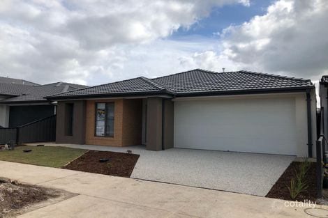 36 Mottlecah Cct, Craigieburn, VIC 3064