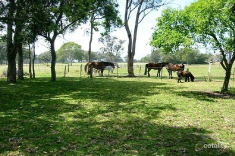 Property photo of 187 Kundle Kundle Road Kundle Kundle NSW 2430