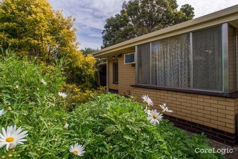Property photo of 5/6 Nichols Street Forestville SA 5035