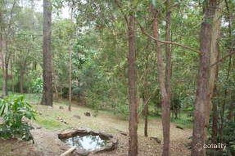Property photo of 81 Yarrimbah Drive Nerang QLD 4211