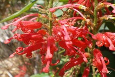 258 Old Wallagoot Rd, Wallagoot, NSW 2550