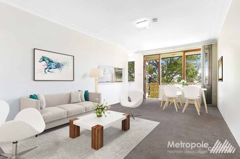 17/38 Alt St, Ashfield, NSW 2131