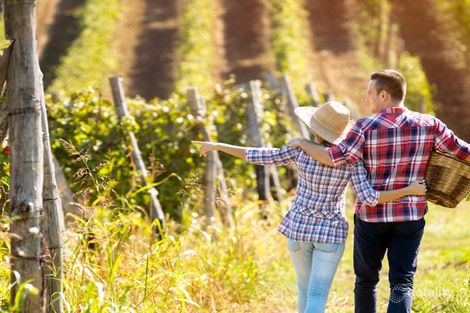 131 Cranleigh St, Dayton, WA 6055