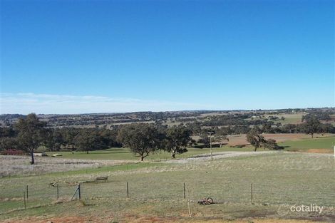 Property photo of 102 Burrows Road Burrangong NSW 2594