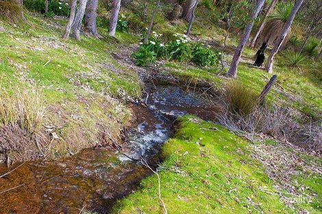 Property photo of 115 Sheoak Drive Yallingup WA 6282