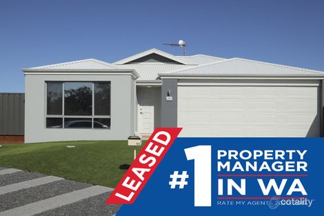 11 Pollen Turn, Banksia Grove, WA 6031
