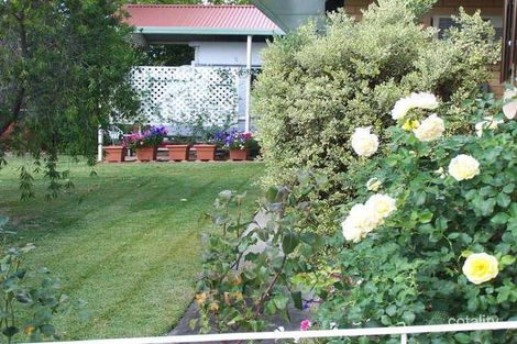 Property photo of 38 Memorial Drive Naracoorte SA 5271