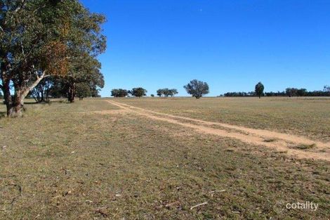 278 Whetstone Access Rd, Whetstone, QLD 4387