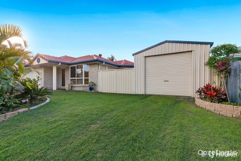 Property photo of 77 Byng Road Birkdale QLD 4159