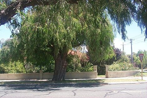 29 Alexander St, Wembley, WA 6014