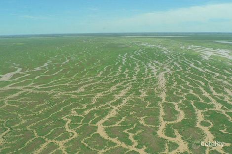 227 Bulloo River Rd, Thargomindah, QLD 4492