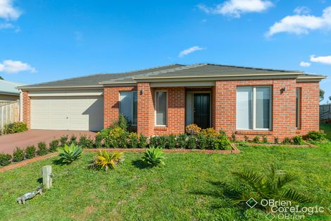 Property photo of 5 Hanna Court Cowes VIC 3922